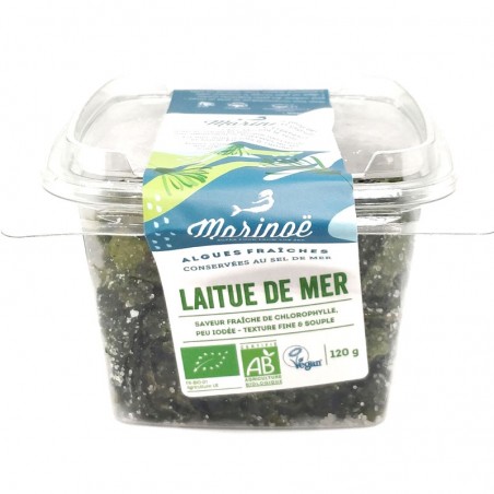 Alghe Lattuga di mare fresche sotto sale (120g) - BIO