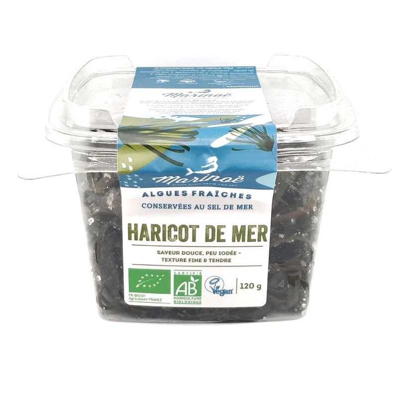 Alghe Spaghetti di Mare fresche sotto sale (120g) - BIO
