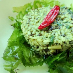 Alghe Lattuga di mare fresche sotto sale (120g) - BIO