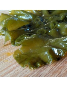 Alghe Kombu Royal fresche sotto sale (200g) – BIO