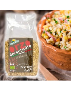 Insalata d'orzo con Orzo Decorticato BIO (400g) Sapore di Sole