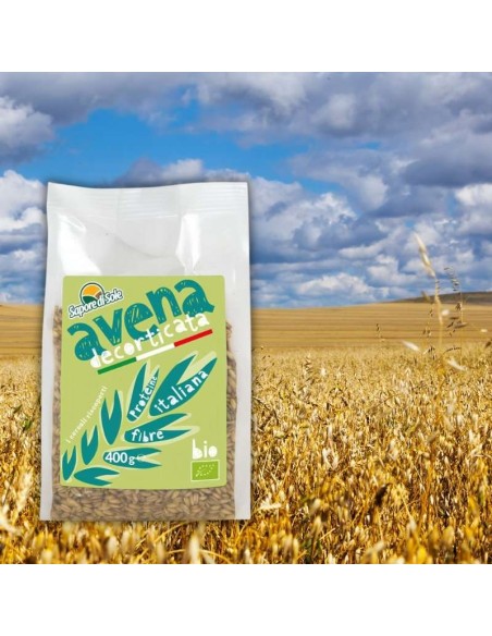 Avena Decorticata BIO (400g)