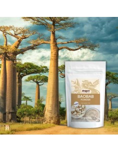 Baobab in polvere BIO (100g)