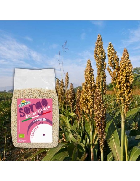 Sorgo bianco decorticato BIO (400g)