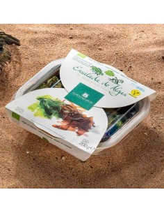 Insalata di Alghe (lattuga-spaghetti-wakame) fresche sotto sale (200g) BIO 2