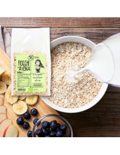 Fiocchi di avena BIO (500g)