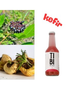 Kefir d'acqua Eleuterococco-Maca BIO (250ml) - TIBI