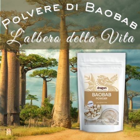 Polvere di baobab